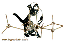Project Logo