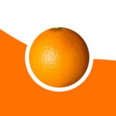 Project Logo