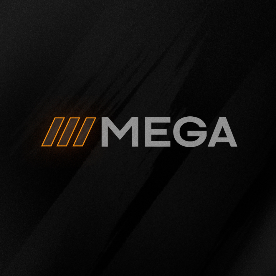 Project Logo
